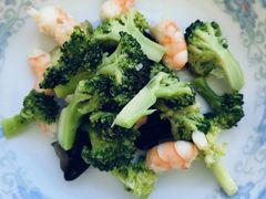 -爱月宝月嫂育儿嫂(太原店)