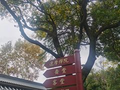 -太子山公园(园东路)