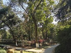 -国恩寺