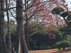 -南宁南湖公园