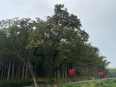 -南北湖风景区
