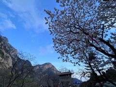 -泰山风景名胜区