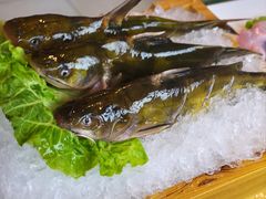 -九牧鱻·渝老鬼重庆火锅(人民路店)