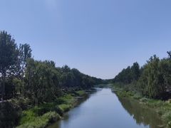 -东郊湿地公园