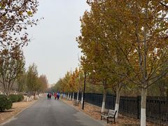 -永定河休闲森林公园