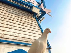 -成都华侨城欢乐里