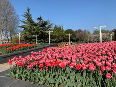 -石家庄市植物园