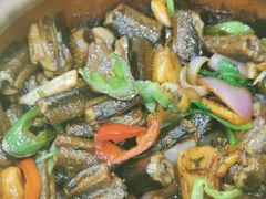 啫黄鳝-嘉华海鲜酒家(龙津中路店)