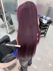 -东方麒麟·潘多拉SALON