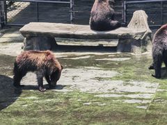 -深圳野生动物园