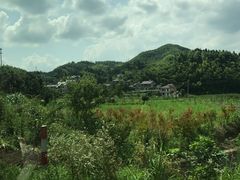 -将军关探险漂流