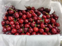 -双福水果批发市场