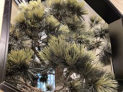 -桂满陇·锦绣江南(益田广场店)