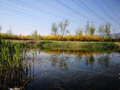 -门城湖公园