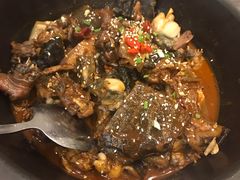 生态甲鱼-火焰金龟甲(汉阳江滩旗舰店)