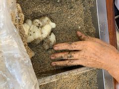 -叶氏麻糍(鼓浪屿店)