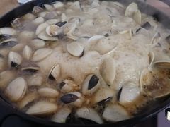 -顺德哥卜卜贝(旗舰店)