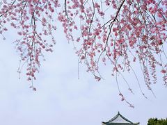 -名古屋城