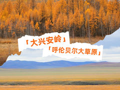 -莫尔道嘎国家森林公园