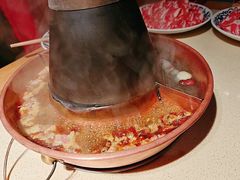 -东镇老火锅(长春路首店)