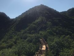 -大岭沟猕猴桃谷风景区