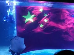 -石家庄海洋公园