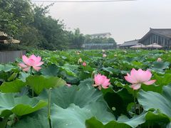 -莫催咖啡