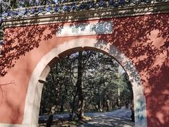 -灵谷景区