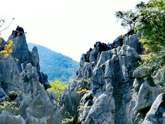 -千岛湖石林