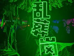 -南湖梦幻岛