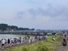 -小麦岛公园
