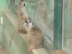 -秦皇岛野生动物园