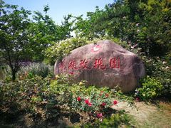 -鹅湖玫瑰文化园