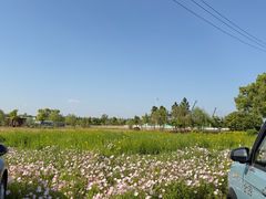-郑和公园