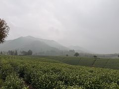 -江南天池