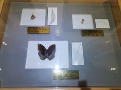 -上海昆虫博物馆