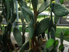 -上海多利农业发展有限公司