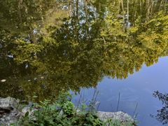 -银树楼(紫玉山庄东区店)