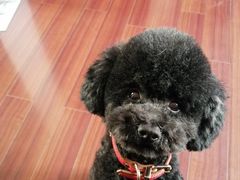 -全家便利店(车站南路店)