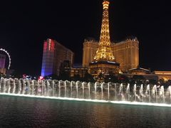 -拉斯维加斯永利酒店