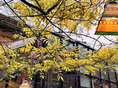 -古董花园(思南路42弄小区店)