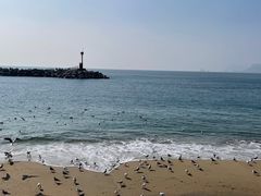 -海云台海滩