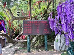 -老君山风景名胜区