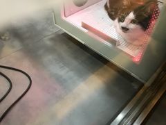 -PETKIT小佩宠物(古北店)