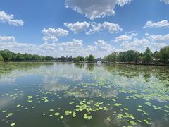 -长春市南湖公园