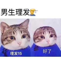 -美梵日系沙龙