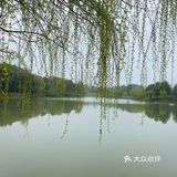 赏心谷｜遛娃团建周末好去处（无门票）‼️