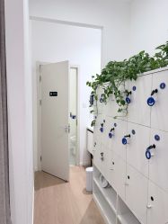 -舒欣头疗·俏丝谧语 白发脱发专业护理 