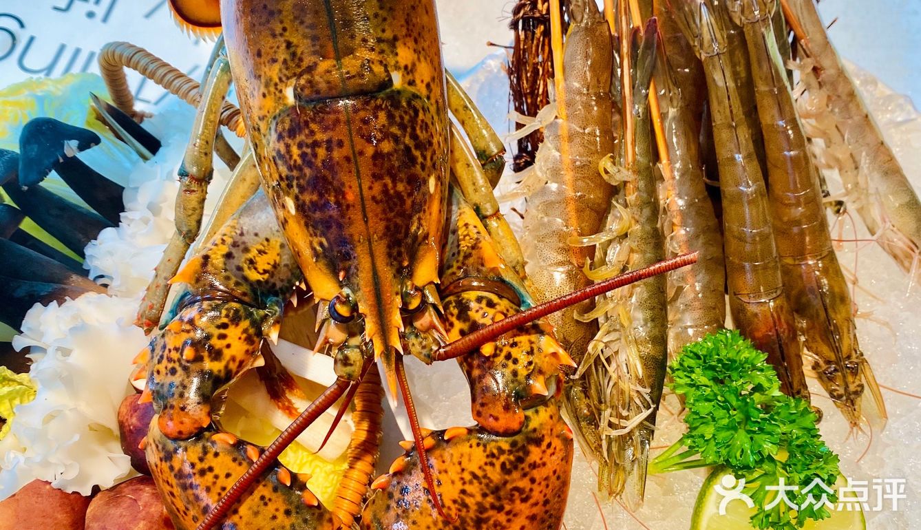 来IFS看花花🐼吃波龙🦞冬阴功火锅啦~