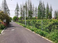 -小六农家乐(崇明西沙湿地店)